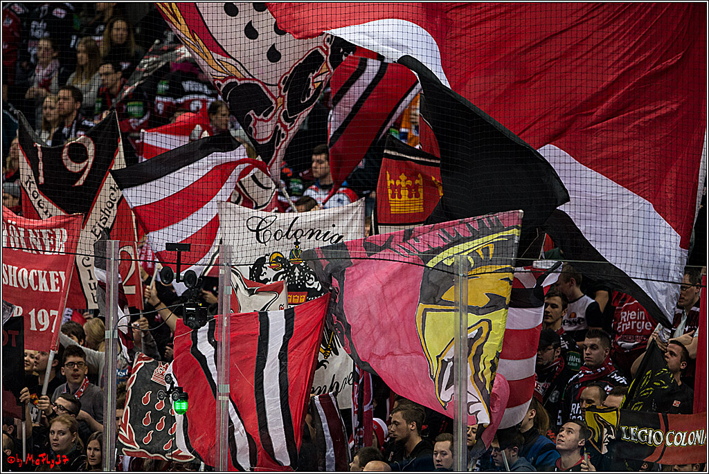 Koelner Haie - Schwenninger Wild Wings, 11.12.2016